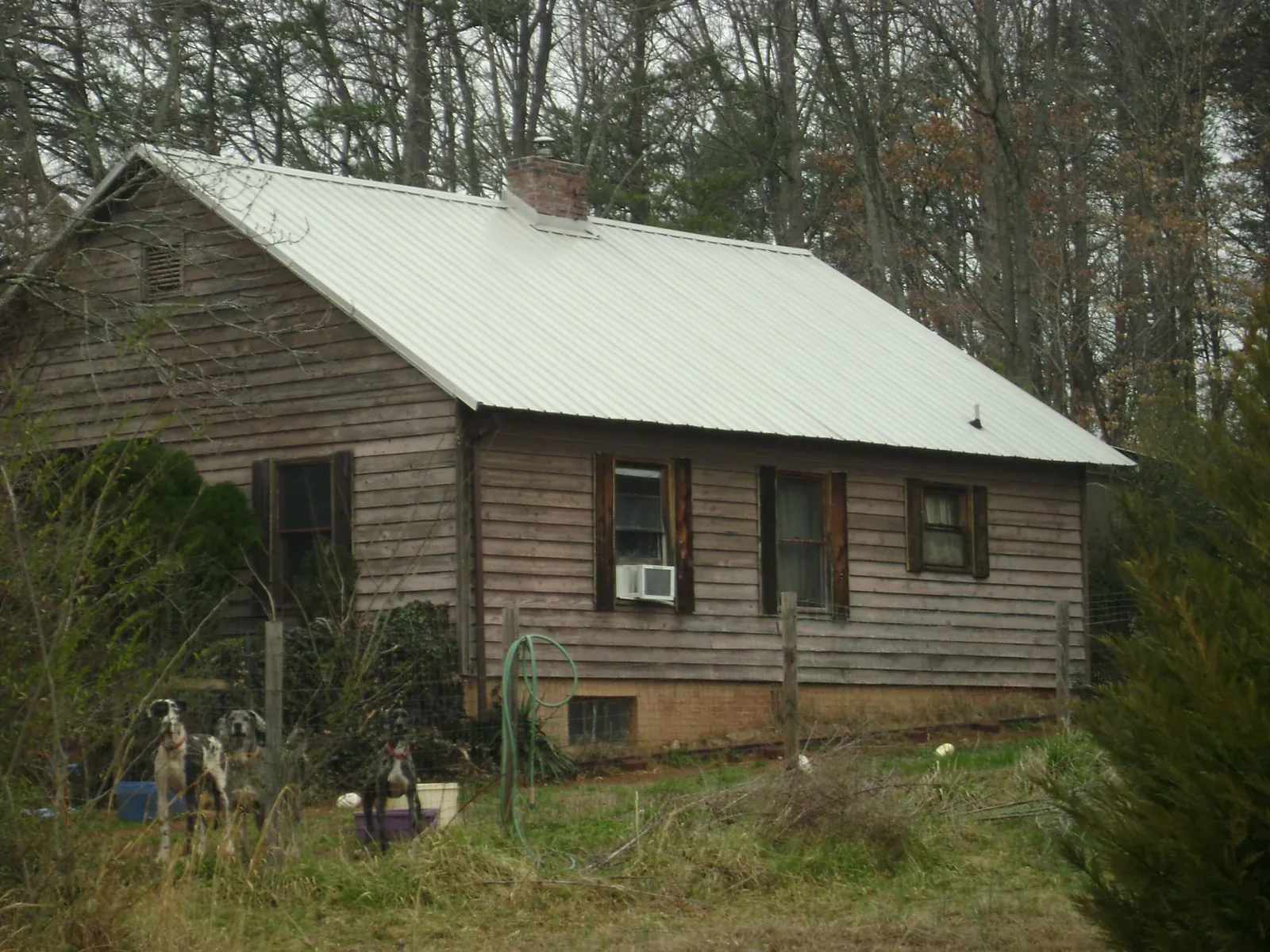 White metal roof on an old wood sided farmhouse, from a Asphalt Shingle Roof Repair job in Elliston